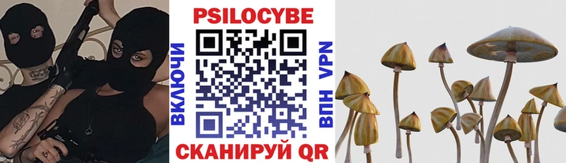 Псилоцибиновые грибы Psilocybine cubensis  Петухово 